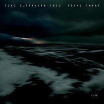 Tord Gustavsen Trio - Wide Open