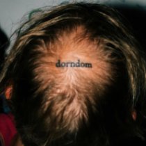 Ivan Dorn - Dead Blogger