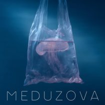 MEDUZOVA - Падали