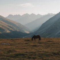 vibermx - Beez In The Trap X What’s Up?