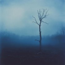 Flwsh, dxstroyed - Shattered Dreams