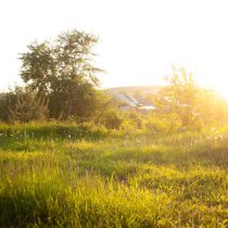 Divanator, brndoom - Plains Dew