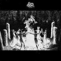 АЛКОПЛЕГИЯ - якорь