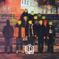 Фламандская Школа, ПИЛС - Даша Крипл