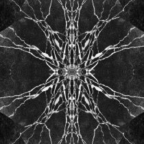 Deomid - Velvet Tornado