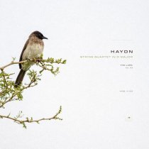 Joseph Haydn, Classical Archive Stereo Arts - String Quartet No. 63 in D Major 'The Lark', Hob. III:63: III. Minuet. Allegretto