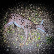 aldn - icantbelieveiletyougetaway