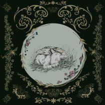 Baby Bugs - Bible Belt