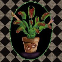 Luvcat - Vicious Delicious