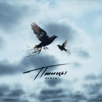 РАМЗИ - Птицы