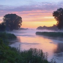 Money Flip - everything will be fine