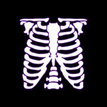 $iluet - муравьи в тени