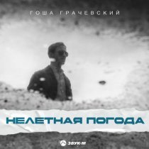 Гоша Грачевский - Нелетная погода