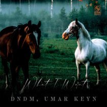 DNDM, Umar Keyn - What I Want