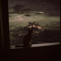 Money Flip - escape reality (Slowed)