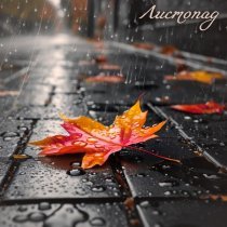 sound X cross - Листопад