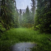 Александр Вольский, Звуки сна Окружающие Шумы - Белый Шум Звук Дождя Шум Дождя Детские Колыбельные Сказки Для Сна 5