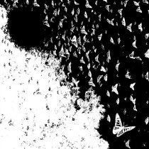 GOOD YARD - каждую ночь