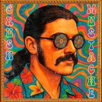 Pumpkin Jumping - Crush Mustache