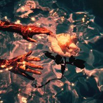 edapollo - Wildflower