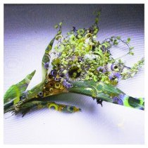 рвота, кот курит - нереально