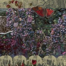 Nikita Kamenskiy - FISSURES DELUXE