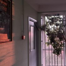 Одиноко Стоящий - Вечное лето