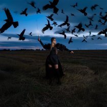 Сестренка - Чёрные вороны