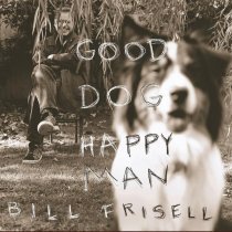Bill Frisell - Big Shoe