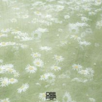 RILTIM - Dreamcatcher