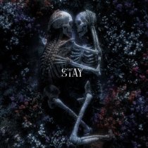 silent anthem - stay