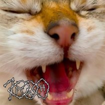 1000ран - СтраХХХ