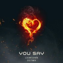Liewsenn, DSTWX - You Say