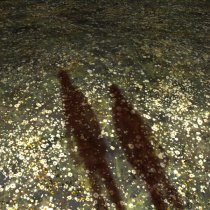 Найтивыход - ромашковое поле