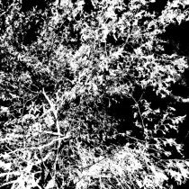 Silecut, Ineedrest - Закат