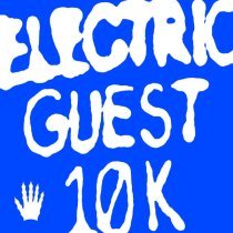 Electric Guest - 1 Player Game