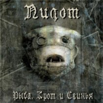 Пилот - Неродина