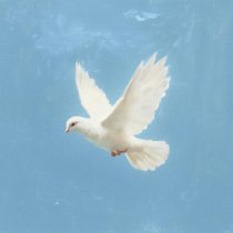 Наталика, ANOPRIEV - Огонек