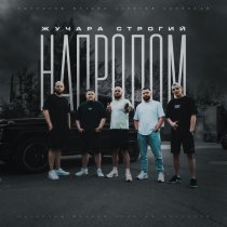 Жучара Строгий, Диман Брюханов - Фортуны колесо