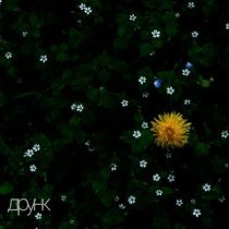 друнк - Хочу сказать