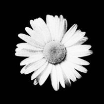 ненастье! - ВОЗВРАЩАЙСЯ