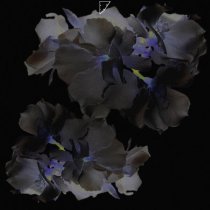 HEXLS, 2RAY, Odddi - Поделиться