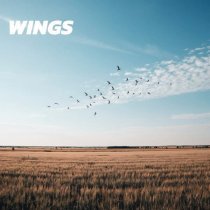 DJ Monsy, Deep House - Wings