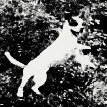 Edmondson, Mahyar Rahmantalab Vaghei - Azura