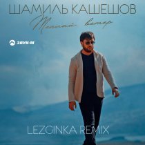Шамиль Кашешов - Теплый ветер (Lezginka Remix)