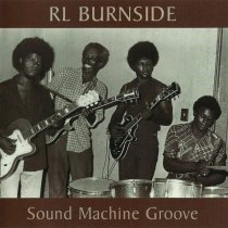 R.L. Burnside, The Sound Machine - Shake, Little Baby