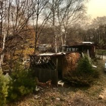 Олег Легкий - Дом