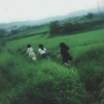 Money Flip - daydreamer