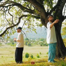 Asatro, atinh - Фея