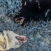 Lucia Love, Liza Madrid - больше не больно